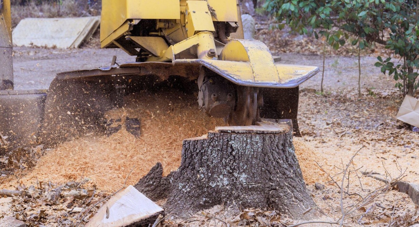 Stump Grinding & Removal service in Blacksburg, VA