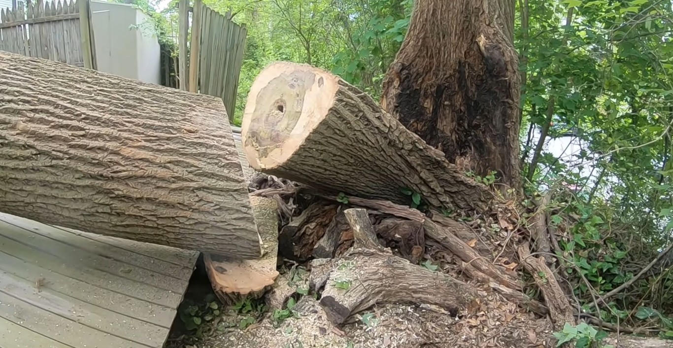 Storm Cleanup & Debris Removal service in Blacksburg, VA